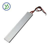 Température constante PTC avec coque en aluminium 12V 24V 36V 48V 220V 150*28.5mm Élément Chauffant PTC