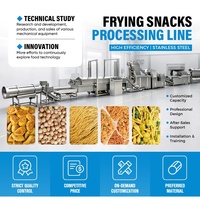 CE-gekeurd industrieel continu frituurapparaat voor de massaproductie van Doritos, Bugles, Kurkure en andere chips in fabrieken