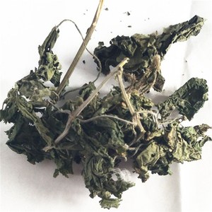 Xun Ma Ye ตำแยแห้งใบสมุนไพรชา oem/odm กระบวนการอบแห้งใบตำแย - Product Image 2