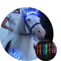 Bandeau lumineux LED cheval, vente en gros, usine,