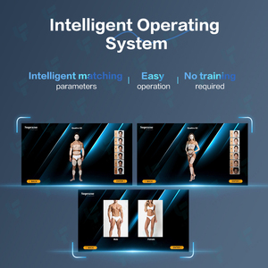 Salon Sử Dụng 3 Sóng 755 808 1064 Tất Cả Các Loại Da Không Đau Tóc Loại Bỏ CE Được Phê Duyệt Wholebody Tóc Laser Loại Bỏ Máy Diode Laser - Product Image 2