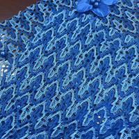 Tissu en dentelle 100% polyester biologique double face, écologique et respirant, pour sous-vêtements et vêtements féminins, largeur 59 pouces