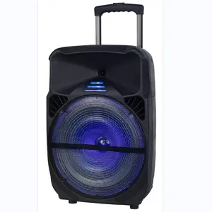 Pro Karaoke Machine active speaker Portable PA System Bluetooth PA Loud speaker with LED Lights Audio Recording FM Radio Remote