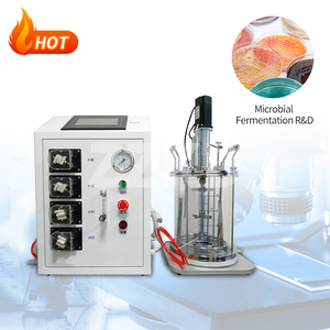 Venta caliente mini biorreactor de laboratorio precios biorreactor bajo cultivo de células transparentes - Product Image 6
