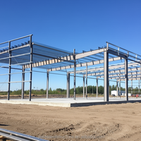Almacenes y Talleres de Estructura de Acero Ligera y Bajo Costo - Construcción Moderna de Garajes Prefabricados con Estructura de Acero