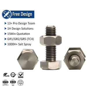 Hexagon Hex đầu Máy Vít Bolt và <span class=keywords><strong>NUT</strong></span> M4 M6 M8 Titan M1 <span class=keywords><strong>M2</strong></span> M3 M4 M5 hoặc tùy chỉnh DIN OEM - Product Image 1