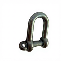 Manilles en D européennes en acier allié galvanisé poli miroir pour levage en hauteur, conformes EN 13889, pour applications minières
