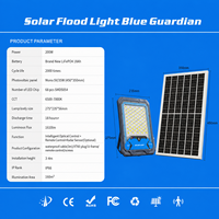 Lampe solaire LED IP66 pour route avec corps en aluminium, télécommande, température de couleur 6500K, dimmable