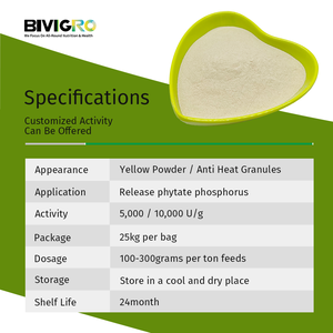 Nhà sản xuất cung cấp bột hạt <span class=keywords><strong>phytase</strong></span> thức ăn <span class=keywords><strong>enzyme</strong></span> chống chịu nhiệt cho thức ăn chăn nuôi giá cả cạnh tranh - Product Image 5