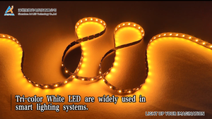 UL CE RoHS สายไฟ SMD LED ยืดหยุ่นได้<span class=keywords><strong>3</strong></span>สีขาว65536สีเทา DC5V IP20/IP65 UCS7604เทป LED 16บิต - Product Image 2