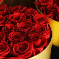 Lovebay vente en gros de roses éternelles naturelles de haute qualité personnalisées roses éternelles dans des boîtes carrées roses conservées dans une boîte ronde fleur