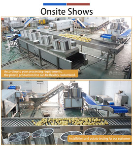 Línea de Procesamiento Industrial Automática de Patatas 1t/h, Máquina Personalizada para Lavar, Pelar, Cortar, Pesar y Empacar Vegetales para Plantas de Procesamiento - Product Image 2