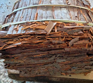 青春工厂提供批发供应高品质决明子（条状）散装香料，来自中国广西，起售量50公斤起 - Product Image 3