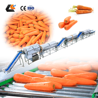 Machine de lavage de légumes à grande échelle pour la nettoyage des racines, trieuse de tomates, laveuse d'olives et de radis, ligne de traitement des carottes bébé