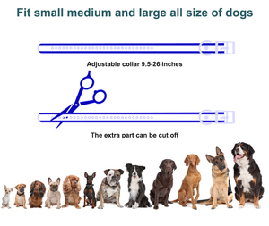 Collar eléctrico impermeable para dejar de ladrar, Collar de entrenamiento para perros sin golpes, Collar de Control de entrenamiento para perros con Control remoto para perros - Product Image 4