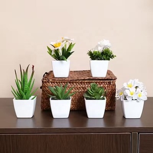 <span class=keywords><strong>Mini</strong></span> Ornements Artificiels en Plastique Vert Succulent Maison Bureau Comptoir Plante Bonsaï 6 pcs/set Décor - Product Image 4