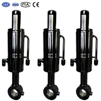 Vérin hydraulique à double effet, alésage 80 mm, tige 40 mm, course 300 mm pour machines industrielles
