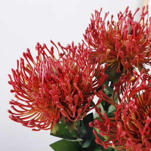 Grandes fleurs artificielles en plastique rouge foncé à grandes têtes, haute simulation, pour décoration intérieure et accessoires de mariage - Product Image 1