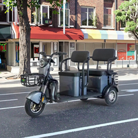 Vélo électrique hybride de nouveau Style pour adultes 48v Tricycle à trois roues moteur central engrenages à 3 vitesses alimentation batterie plomb-acide