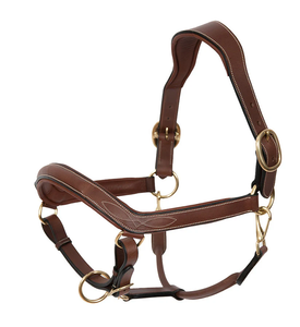 Custom Logo Real <b>Leather</b> Horse Halter Black Brown Equestrian Competition Riding Sizes S/M/L/XXL HE6988 - Product Image 1