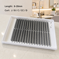 Extensions de cils Premium Anime Lashes Comic Spire Lashes Wispy Spike Premade Fans Easy Fan pour professionnels de salon