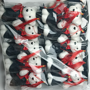 Figura de Osito con Toga Académica, Muñeco de Espuma con Título de Maestro, Regalo para Estudiantes Durante la Temporada de Graduación - Product Image 3