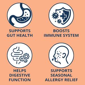 OEM/ODM-Gâteries à croquer probiotiques pour chiens, suppléments nutritionnels doux à mâcher avec souches probiotiques - Product Image 3