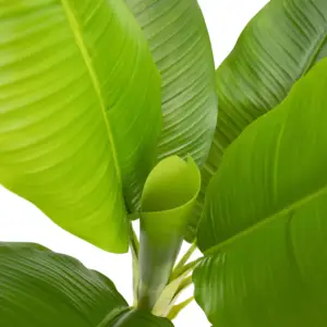 120cm Simulated Plastics 8leaves Plants Odorless Ornamental Garden Decor Realistic Artificial Plantain Musa Basjoo Banana Tree