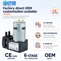 Compresseur d'air portable mini électrique 12V à piston, haute pression CC 550 kPa, débit élevé 40 L/min, OEM