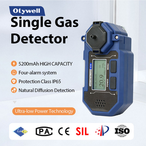 Détecteur de gaz multi-gaz portable, éthane, GPL, H2, vapeur d'essence, moniteur de gaz Ex Ia IIC T4, anti-explosion - Product Image 1