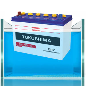Tokushima 12v סוללה אוטומטי יבש טעונה מצב חדש הסיטונאי din200 61017 60038 משאית הפעלת הסוללה - Product Image 4