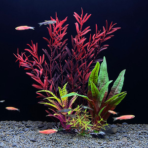 <span class=keywords><strong>Aquarium</strong></span> aménagement paysager en plastique plantes aquatiques simulation d'<span class=keywords><strong>aquarium</strong></span> plantes aquatiques micro paysage décoration ornements aquati - Product Image 4