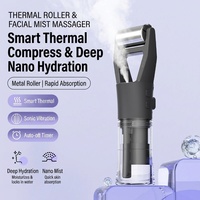 Masseur facial portable à vibrations soniques, vaporisateur de brume nano, booster de peau, mini rouleau facial thermique, appareil de beauté pour la maison et les voyages