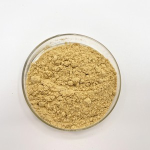 Dextranase d'enzymes de Bate-dextranase de haute qualité avec le meilleur prix Bate-dextranase - Product Image 3