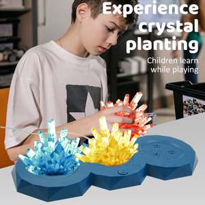 Zhorya DIY hecho a mano crecimiento cristal plantación química cristal flores observación educativa STEM ciencia experimento Juguetes - Product Image 3