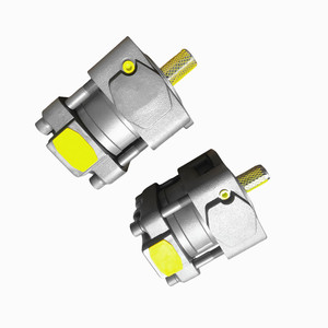 Pompe hydraulique à engrenages QT62-80F-BP-Z QT62-100F-BP-Z QT62-125F-BP-Z QT62-125F-S1389-A Pompe à huile pour machine de moulage par injection - Product Image 1
