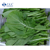Sino charm 4-Sterne-Produkt BRC-A 30-50mm gefrorenes chinesisches Senf blatt geschnittenes gefrorenes Gemüse IQF gefrorenes Senf grün zum Verkauf