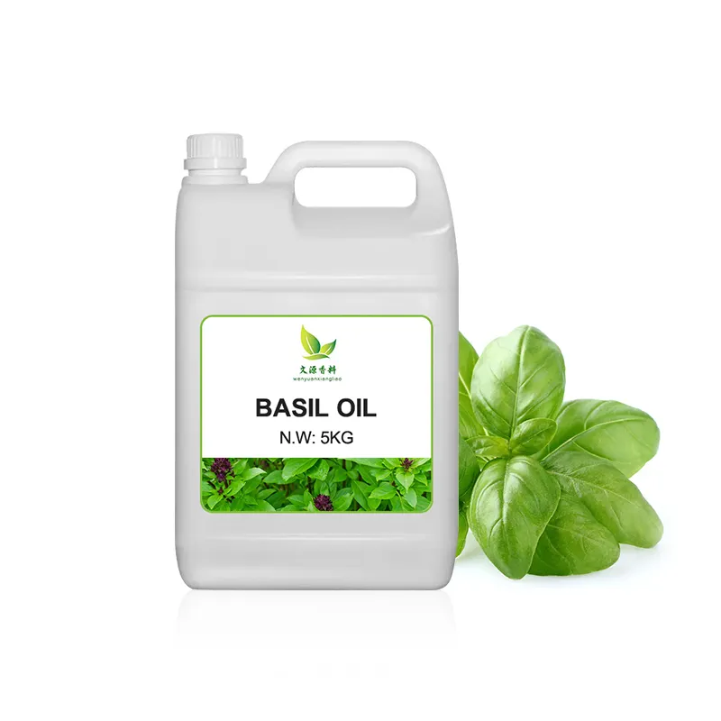 Perawatan Tubuh minyak esensial Basil grade aromatik Premium tersedia dengan harga grosir