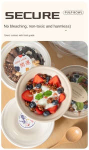 Caja Rectangular Desechable de Pulpa de Grado Alimenticio para Envasar <span class=keywords><strong>Ensaladas</strong></span> Frías, Helados y Polvos - Product Image 4