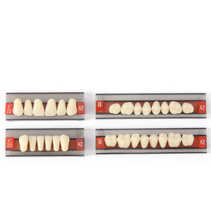 Vendita calda 28 pz dentiere denti finti denti dentali in resina sintetica composita - Product Image 1