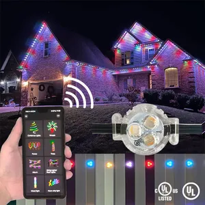 Kerst Led Outdoor Kerst Huis Outdoor Decoraties Pixel Module Dot Lichtbron Ws2811 Ucs2904 Punt Licht