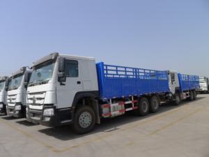 الصينية 6x4 الديزل مربع شاحنة اليورو 2 الانبعاثات القياسية شاحنة هو وو البضائع شاحنة - Product Image 5