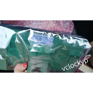 1 Módulo PLC WOODWARD 9905-969 NUEVO, Envío Rápido por DHL/FedEX - Product Image 2