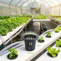 Différentes tailles disponibles, plantes de jardin, panier de plantation hydroponique, système de jardinage, pot en filet, pot en maille plastique pour la vente en gros