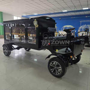 Carro Fúnebre Eléctrico de Alta Calidad con Columnas Romanas para Desfiles Fúnebres - Product Image 3