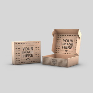 HXD cardboard gift corrugated print airplane container shoe airplane box carton color box