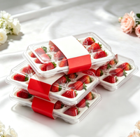 Boîte à lunch alimentaire personnalisable FlashStrike AA2 en PVC/PET avec emballage blister et options de conception de logo