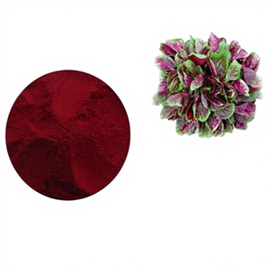 สีผสมอาหารปี 2026 สีผสมอาหารออร์แกนิก สีผสมอาหารจากธรรมชาติชนิดผง มีสีให้เลือกหลากหลายเฉดสีสำหรับการใช้งานที่หลากหลาย - Product Image 6
