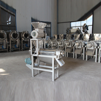 Machine à jus et à broyage automatique à vis pour fruits et légumes facile à utiliser, en vente