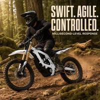 Moto électrique tout-terrain puissante Surron Light Bee 2 2026 verte 410 Nm 90 km/h pour grossistes
